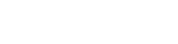 Allight Educational Consulting
